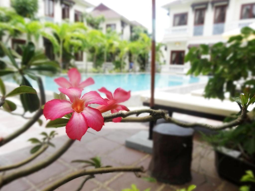 Hoi An Memority Villas & Spa Екстер'єр фото